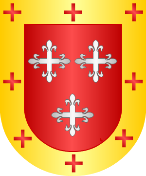 ESCUDO SIGUIENTE